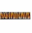 BEASTIE BANDS TIGER STRIPES (ASSORTED COLORS)