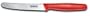 Victorinox Cutlery 4-1/2-Inch Steak Knife, Red Polypropylene Handle