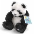 Webkinz "The Caring Valley" Panda