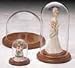 Bards Glass Display Dome 5 1/8 x 11 H