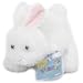 Ganz Webkinz Adopt a Pet Plush Rabbit