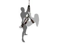 Pleasure Swing ... Sm 321