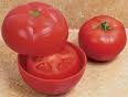 Tuppereware Tomato Keeper Locker in Red