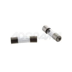 Flashpoint 8 Amp Fuse, Pack of 2, for the Flashpoint 320 Monolight