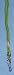 Set of 12 Economy Lanyard - Green