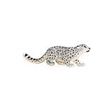 Snow Leopard