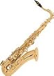 Selmer Tenor Sax Outfit Matte