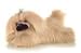 Aurora Plush 12
