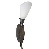 American Fluorescent IRW118ETEC Iris Outdoor Sconce, Petal Shaped Hand Blown Glass Diffuser with Earthtone Finish 18W