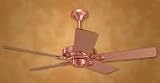 Hunter 52 Energy Star Ceiling Fan Outdoor Elements Satin White 28533