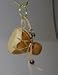 *NEW* MINI BABY BOTTLE GOURD*15 SEEDS*ART*CRAFTS*Fun 4 Kids*E~Z GROW*RARE#1188-A