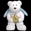 Ty "Star" Beanie Buddy Bear