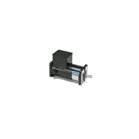 Permanent Magnet 12VDC Motor TENV 1/6hp 1800/3900RPM 31GS Frame Leeson Electric Motor # M1120046
