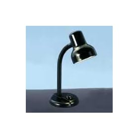Catalina Lighting W1300BLK Gooseneck Desk Lamp with Metal Shade, 16 High, Black