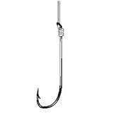 Fluke Snelled 2/0 Hook 36 40lb Fluorocarbon