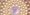 Beige Enlumineur 03