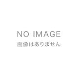リトルフットの大冒険～謎の恐竜 (THE LAND BEFORE TIME)