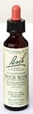 Bach Flower Essence - Rock Rose