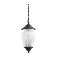 60175 757 SeaGull Lighting Winona Outdoor Pendant