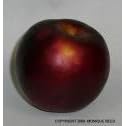 Fruit tree Orchard Package! by 
