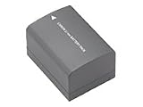 Canon BP 2L13 - Camcorder battery Li-Ion 1200 mAh