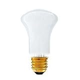 Novatron 4101 100 Watt Tungsram Modeling Lamp