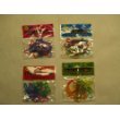 Rubberband Scented 48 Pcs Set Bugs, Pet, Fashionista & Sport Fans