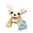 Webkinz Lil’ Chihuahua with Trading Cards