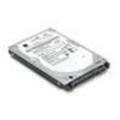45J6212 Lenovo ThinkServer 300 3.5 Inches