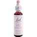 Bach Aspen (1 x 20 ML)