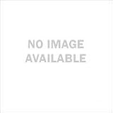 Plus Size Teal Night Moves Skirt
