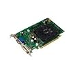 EVGA 512-P2-N747-LR e-GeForce 8500 GT 512MB PCI-Express Graphics Card with One Plus One Warranty