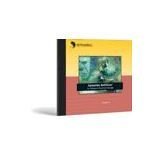 Revue Symantec  / Symantec AntiVirus for Network Attached Storage - (version 4.3 ) - support - CD - Linux, Win, Solaris - International