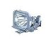 Hitachi Replacement Lamp for RS-55,