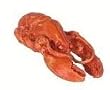 Dollhouse Miniature Artisan Whole Lobster
