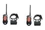 DT Systems� H2O 1822 Dog Training Collar (2 Dogs)