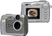 Electronics : VuPoint Solutions DC-306ATG-VP 3.1 MegaPixel Digital Camera with Expandable Memory