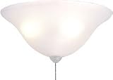 Ceiling Fan Lights