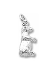 Groundhog Charm