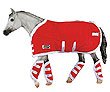 Red Blanket and Shipping Boots