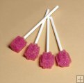 Toothette pack of 25 Toothette pack of 25