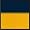 Navy/Gold