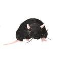 Childrens Toyshop  Toys : Black Rat Finger Puppet [Toy]