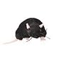 Black Rat Finger Puppet