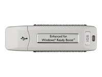Kingston 1GB DataTraveler ReadyFlash USB2.0 Flash Drive - 1 GB - USB