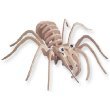 Tarantula 3D Woodcraft Construction Kit