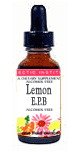 Echinacea Premium Blend-Lemon No Alcohol Glycerite - 1 oz. - Liquid