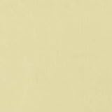 Robert Allen Kerala Custard Fabric