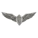 Pilot Wings Lapel Pin