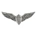 Pilot Wings Lapel Pin